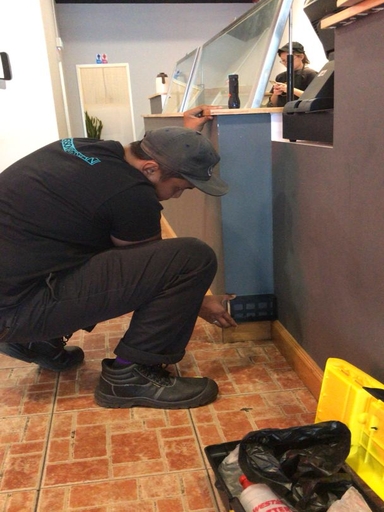 Termite Control Specialist Penang